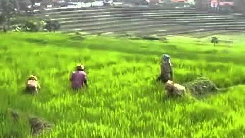 Kecapi Suling  03 Degung Ciaul mp4   YouTube