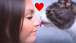 7 Essential Tips to Gain Your Cat's Trust