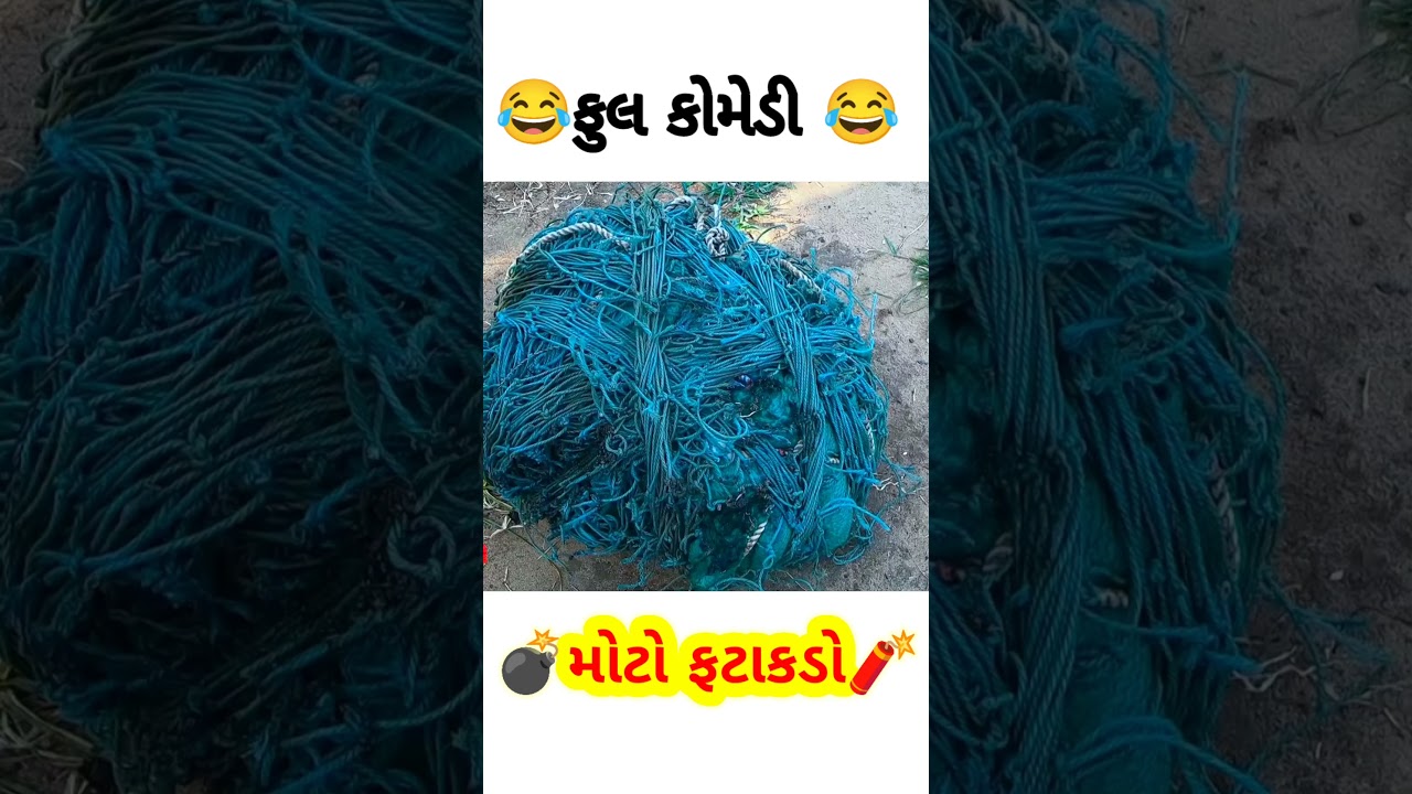 No Regrets By Tpex - YouTube Auto PHP Script