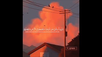 سورة القصص الآيتين ٥ - ٦ | تلاوة القارئ رعد محمد الكردي