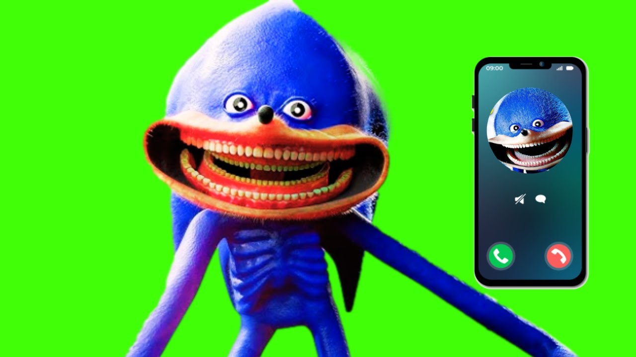 Llamada a Shin Sonic - SHIN SONIC -