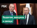 Российско-турецкие отношения: Эрдоган в Баку, вакцина и помидоры