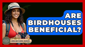 Are Birdhouses Beneficial? - Bird Watching Diaries
