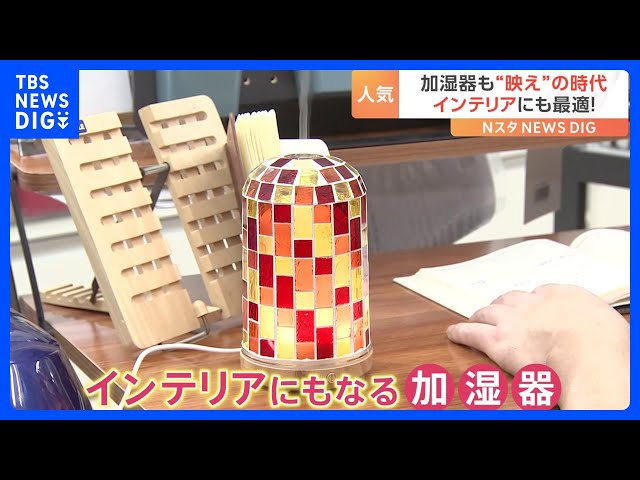 乾燥が気になる季節 加湿器も“映え”の時代？インテリアに最適の 