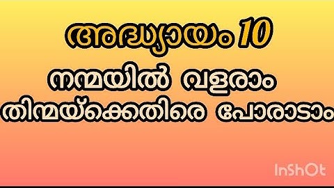 Sunday Catechism class 11 2024