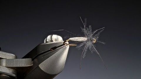 Tying the Long legged midge with Barry Ord Clarke