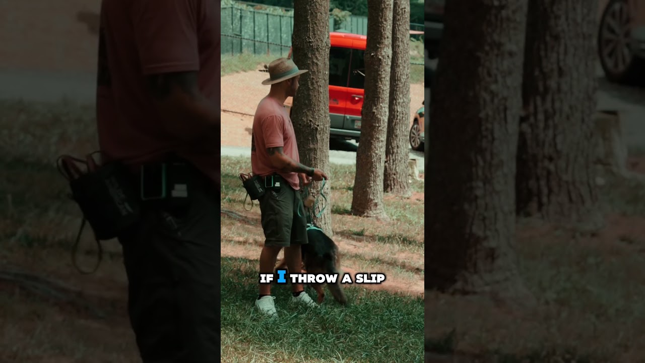 Slip lead for reactivity!