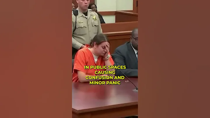 woman gets sentenced to 28 years for handing out panic inducing flyers #sentences #court