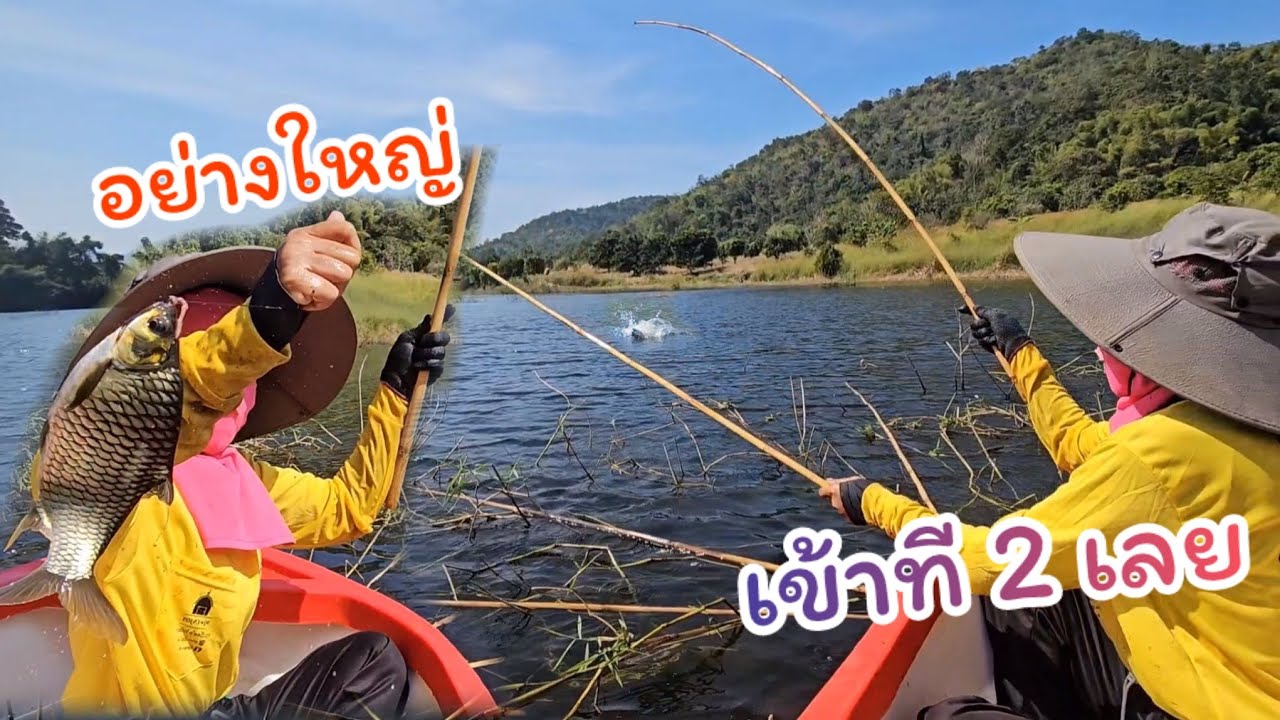 #ตกปลาคันไม้ไผ่ ตามหาฝูงไปครึ่งวัน สุดท้ายก็เจอ จุดเดียวฝูงเดียวเน้นๆ
