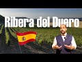 Ribera del Duero