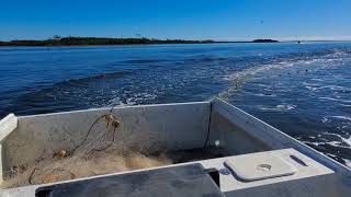 Mullet Fishing NC