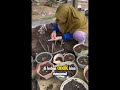 #seru #berkebun #tipsbertanam #hack #qualitytime #keluarga
