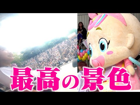 ベビタピちゃんが見た景色が最高過ぎた！！ベビタピフェス裏側に密着！！