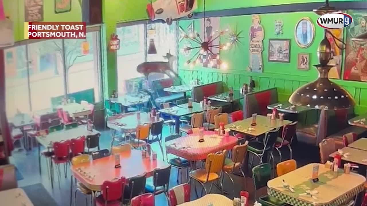 Raw surveillance video: Deer jumps through window, into Friendly Toast restaurant in Portsmouth, NH
