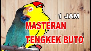 MASTERAN SUARA TENGKEK BUTO ( SLOW SPEED ) 1JAM UNTUK LOVEBIRD MENUJU KONSLET