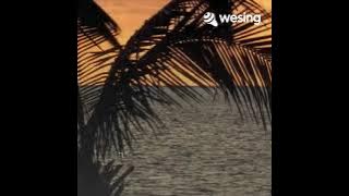 Download lagu Gambang Kromong Sirih kuning- Video ini dari WeSing