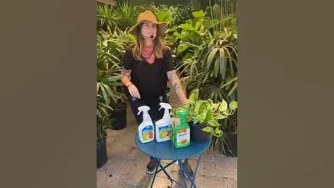 Controlling Indoor Plant Pests with Sydney Kaye