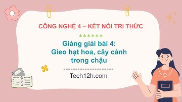 Giảng bài 4: Gieo hạt hoa, cây cảnh trong chậu | Bài giảng công nghệ 4 kết nối tri thức