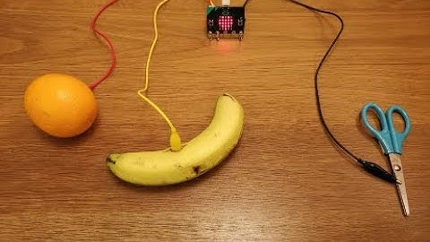 STEM - 到底MicroBit喜歡什麼水果？