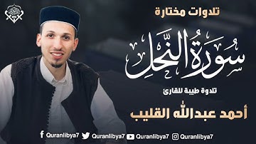 تلاوات مختارة تلاوة طيبة للشيخ أحمد القليب وفقه الله