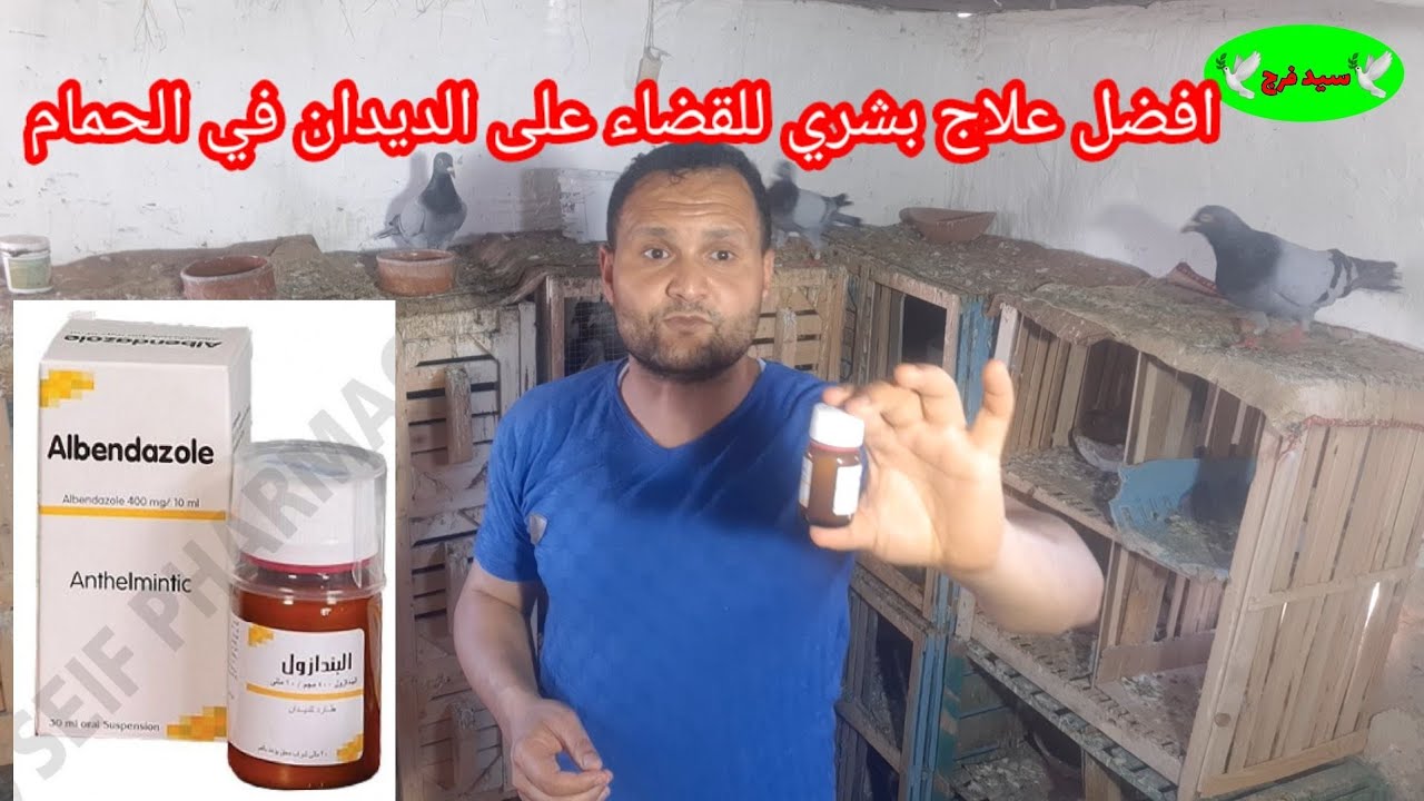 ارخص علاج الديدان في الحمام من غير ماياثر علي الزغاليل ولا يروق بيض ولا يبوض الريش في الحمام