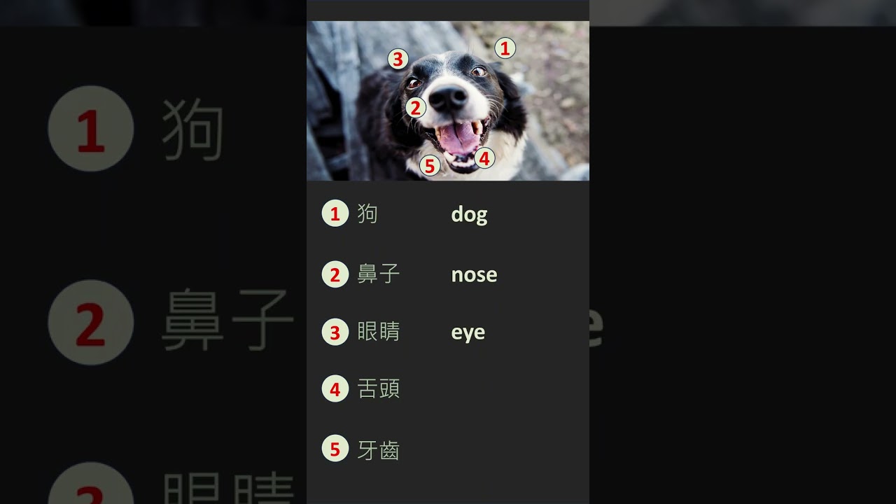 📷 Learn five words with one picture 📸  生活一張圖，學五個字 