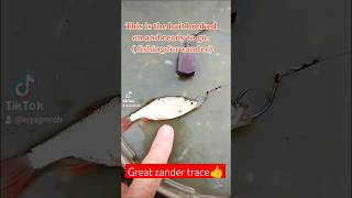 Basic trace to catch Zander 💪 #fishing #perch #lurefishing #fishingtips #fish #lure #tutorial #how