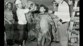 Gappa - Making of