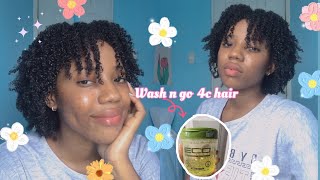 Wash and Go on 4c/4b Hair | DEFINED WASH AND GO ON 4c Hair | Eco Styler