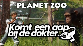 I created an episode the Dutch TV show "komt een aap de dokter" in Planet Zoo! | Frontier Forums