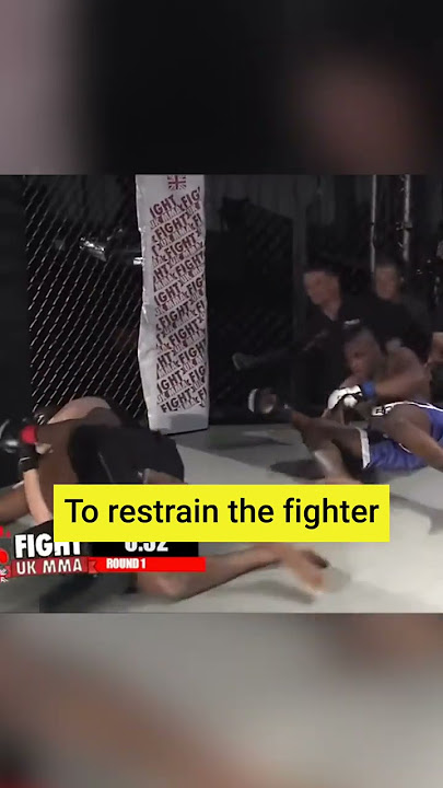 BEST Referee Moments in UFC History | MMA best referees #shorts #mma #UFC
