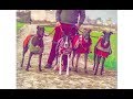 Ggreyhound ( shakri kutta ) l Racing dogs l latest video l 2019