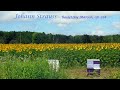 Johann Strauss:  Radetzky Marsch, op  228