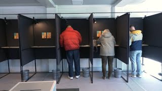 В Литве Состоится Второй Тур Президентских Выборов
