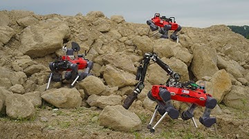 Robots for Lunar Exploration