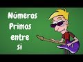 Números primos entre si