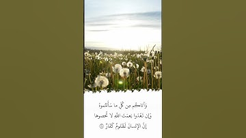 تلاوة في دقيقة | سورة إبراهيم | الآية ٣٤ | الشيخ ياسر الدوسري
