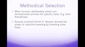 Assignment 312 Task A