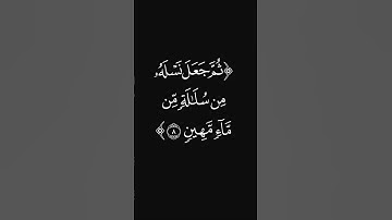 (ثم سوّاه ونفخ فيه) #قرآن #ليدّبّروا_آياته #راحة_نفسية #شاشه_سوداء #تلاوات #عبدالرحمن_ريس #quran