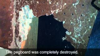 Termites in Storage Room
