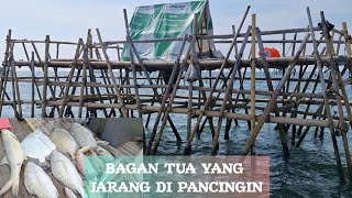 BAGAN YANG JARANG DI PANCING AUTO PANEN !!! || BAGAN TANJUNG KAIT BAGAN AWING