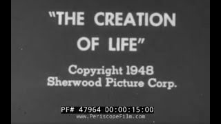 “THE CREATION OF LIFE” 1948 EDUCATIONAL FILM   PREGNANCY, FETAL GROWTH, BIRTH, BREECH BIRTH  47964