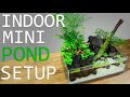 How to Build a No-Filter Pond Aquarium! (Tutorial)