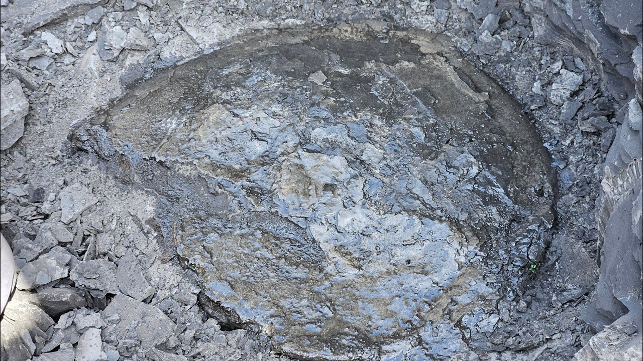 The Complete History Of Alberta Ammolite with Fossil Dad!