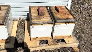 Let’s build your toolbox as a beekeeper. 🐝 This is what I call the switch-a-roo.