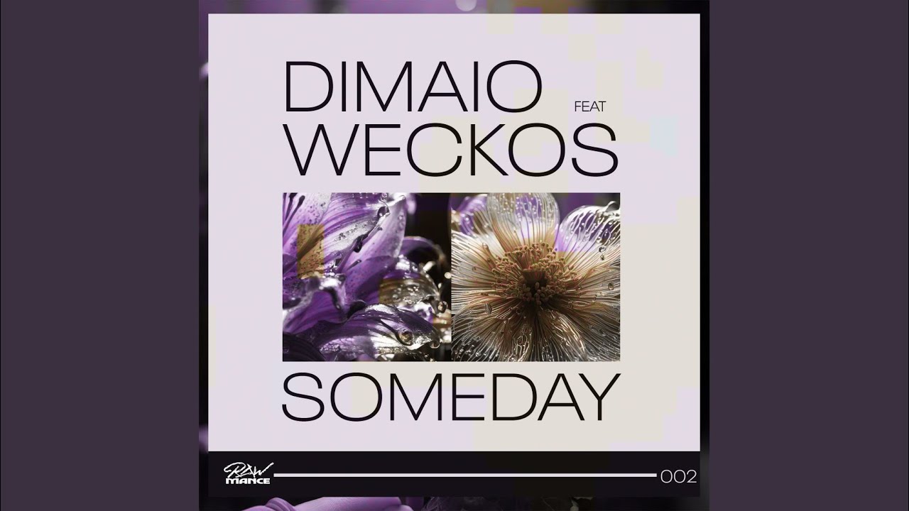 Someday (heSAWyou Remix)