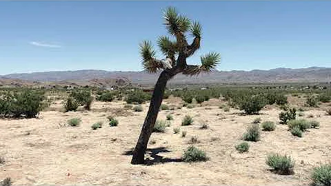 SPACEMAN HOUSE AERIAL TOUR | JOSHUA TREE, CA