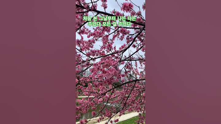 아낌없이 주리라 / 장민