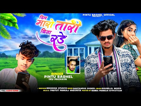 दिल मारो तारी बिना रडे singer pintu baghel iku pachaya new aadivasi timli bewafa song 2024