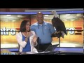 Keylla Hernández se asusta con animal exótico | WapaTV